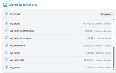 Search and Replace plugin thumbnail 2
